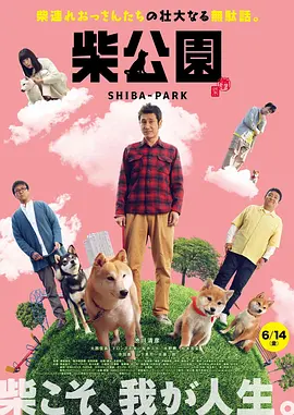 成人自拍视频在线观看