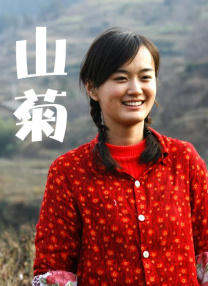 精品视频黄色